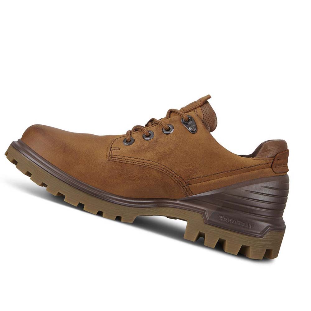 Men's Ecco Tredtray Hiking & Trail Brown | USA 575PJJ